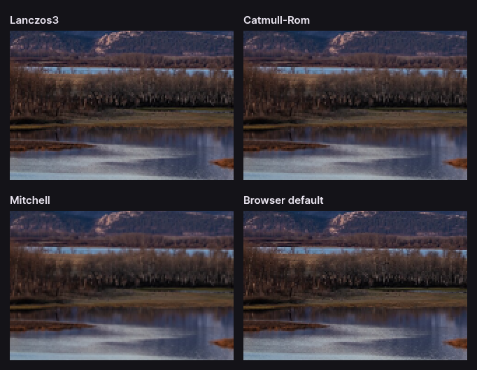 Four crops of the same bare trees reduced three times over: Lanczos3 and Catmull-Rom keep individual trunks distinct, Mitchell is softer, the browser default is softest.