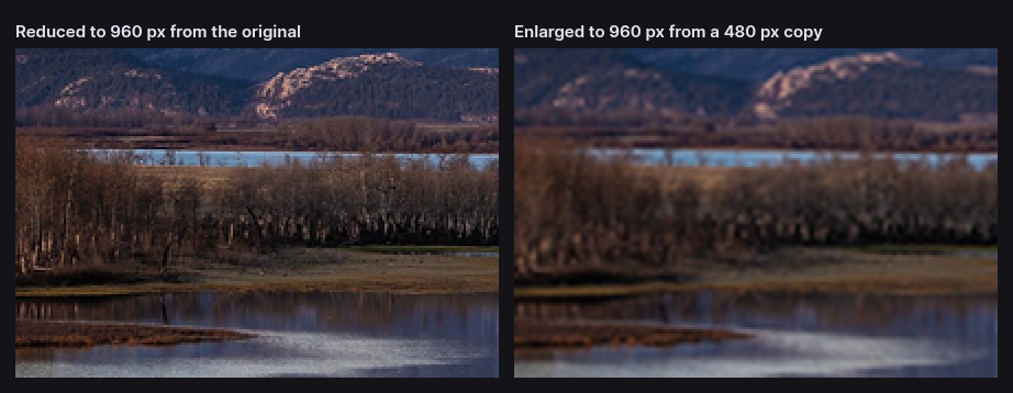 Two 960-pixel-wide versions of the same lake shore: reduced from the original, the trees and hills are crisp; enlarged from a 480-pixel copy, they are a soft blur.