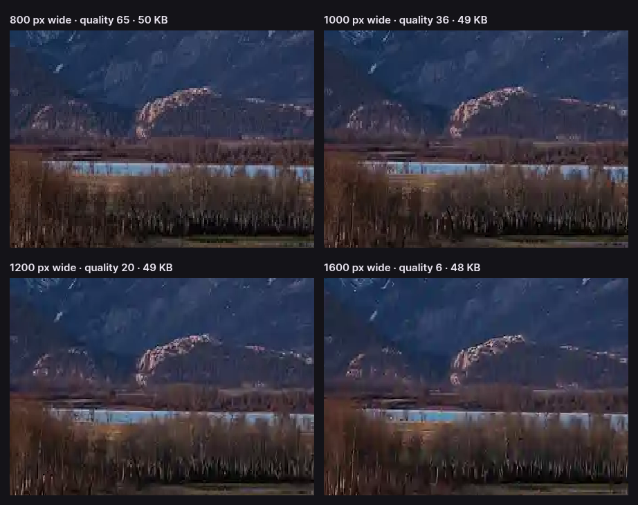 Four 50 KB versions of the same lakeside scene. At 800 pixels wide and quality 65 the trees are soft but clean; at 1000 pixels and quality 36 they are sharper with some blocking; at 1200 and 1600 pixels the image breaks into smears and blotches.
